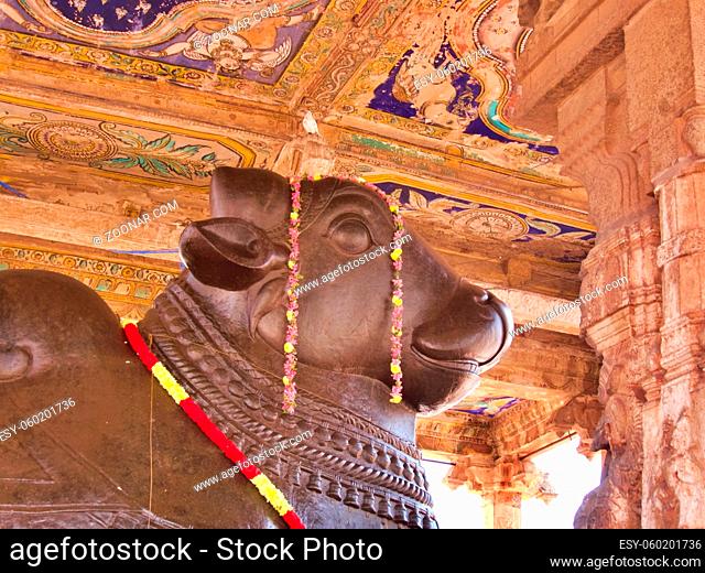 Cow statue with ceiling, Darasuram temple, Tamil Nadu, southern India. High quality photo