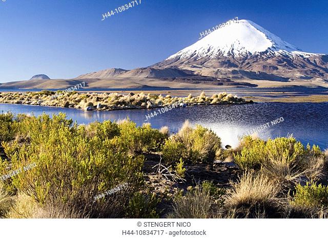 Chile, South America, Parinacota volcano, Lago Chungara, Lauca, national park, lake, landscape, water, bushes, scrub