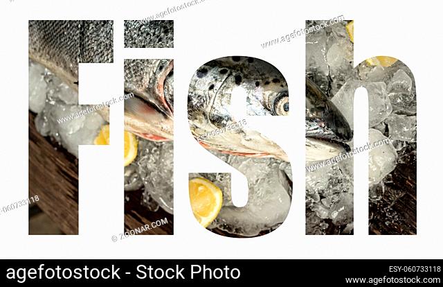 Salmon. Salmon Font, Font with transparency fish on ice. Concept: fish business