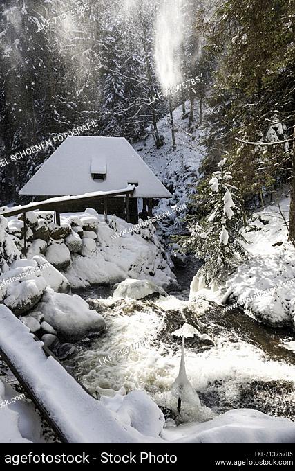 Ravennaschlucht with snow and ice, winter, near Hinterzarten, Black Forest, Baden-WÃ¼rttemberg, Germany
