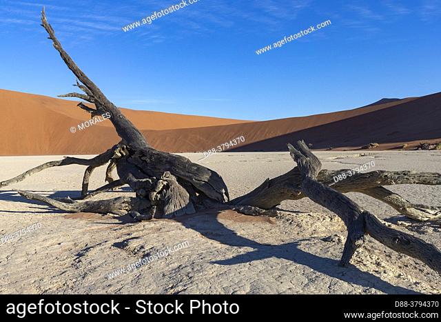 Namibia, Hardap region, Namib Desert, Namib-Naukluft National Park, Namib Erg listed as World Heritage by UNESCO, Sossusvlei dunes, Dead Vlei