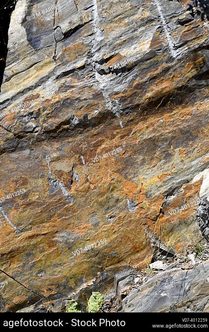 Cambrian lutite with iron oxides patina. This photo was taken in Pico Villuercas, Villuercas-Ibores-Jara Geopark, Caceres, Extremadura, Spain