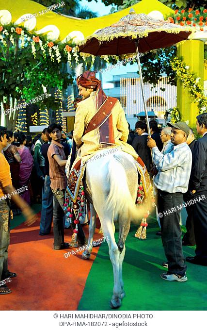 Indian Wedding bridegroom sitting on white horse India Asia
