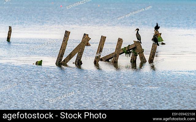 The Wreck of The Minx, Osmington Bay, near Weymouth, Jurassic Coast, Dorset, UK