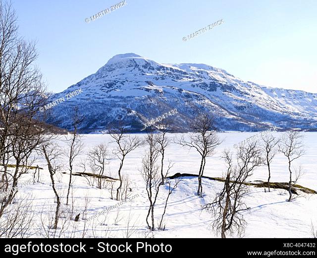 Landscape at the frozen lake Skovatnet in northern Norway during winter. Europe, northern europe, Norway