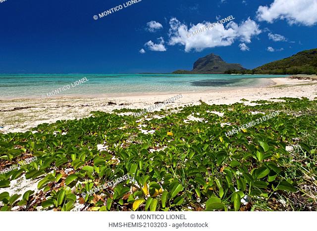 Mauritius, South West Coast, Black River District, Prairie Beach and Morne Brabant listed as World Heritage by UNESCO