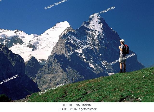 Hiker looking to the snow-covered Monch and the north face of the Eiger, Gross Scheidegg, Grindelwald, Bern, Swiss Alps, Switzerland, Europe