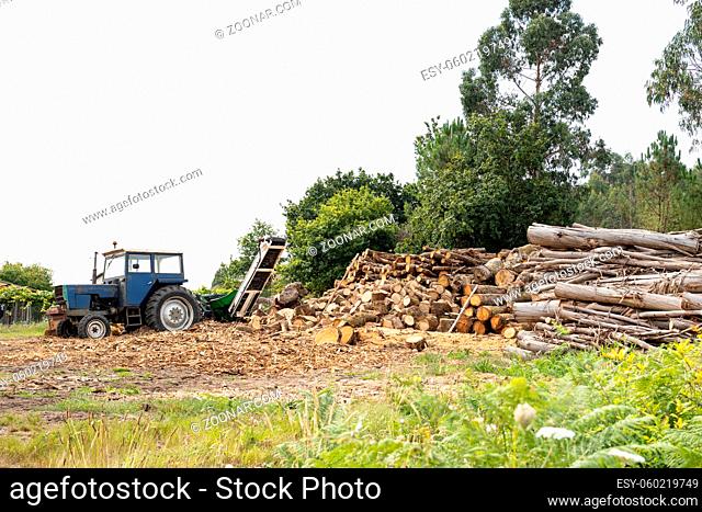 Rural scene with stacked trees and a tractor with wood splitter to chop firewood. Copy space