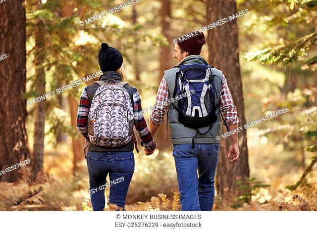 Couple enjoying hike in a forest, back view, California, USA