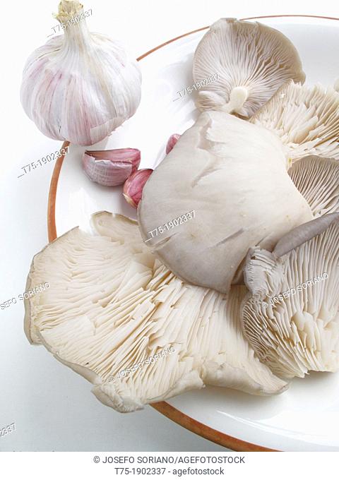 Pleurotus Ostreatus, mushrooms and garlic