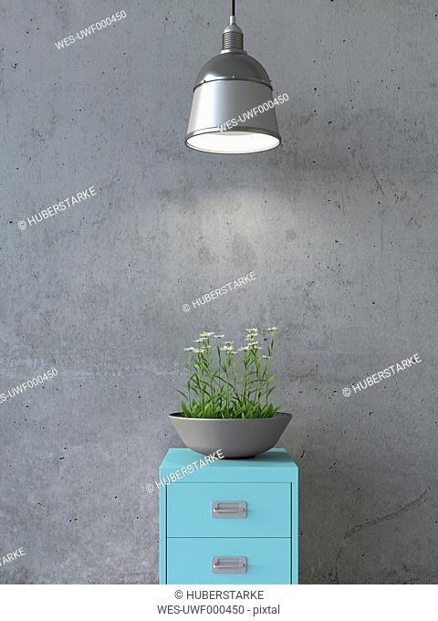 Jardiniere with daisies on illuminated steel cabinet, 3D Rendering