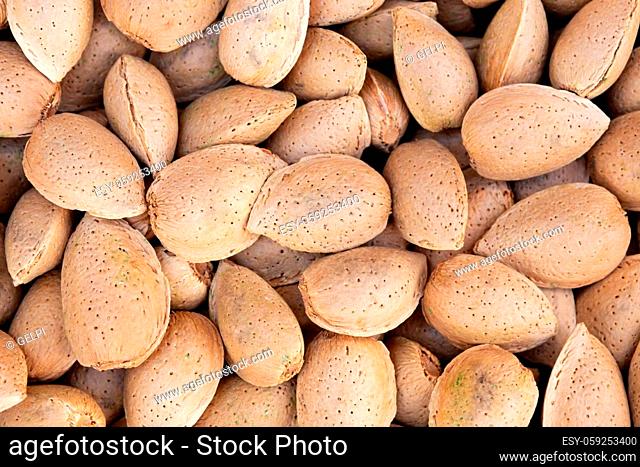 Harvesting shelled almonds to use as background