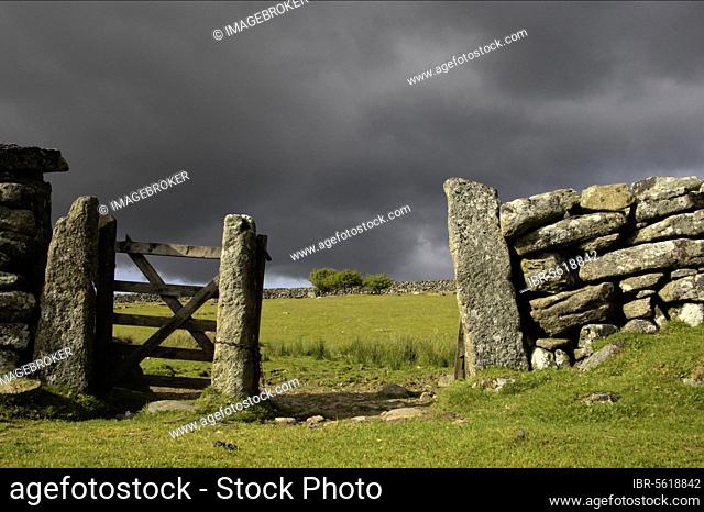 Old gate in dry stone wall, with approaching storm clouds, Dartmoor N. P. Devon, England, Great Britain