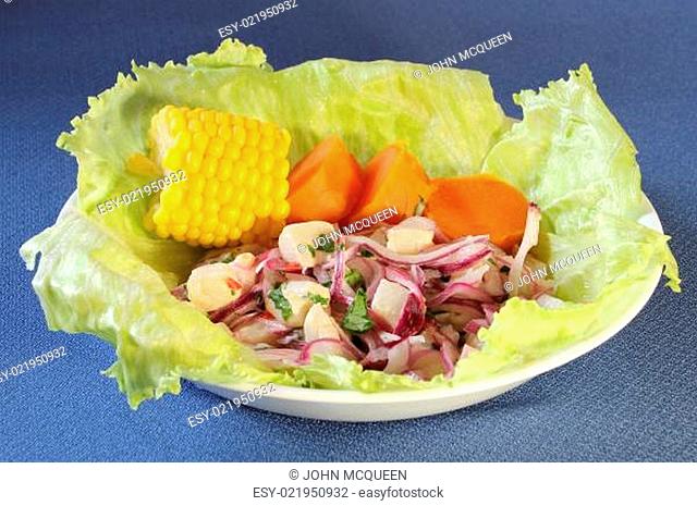 A plate of ceviche