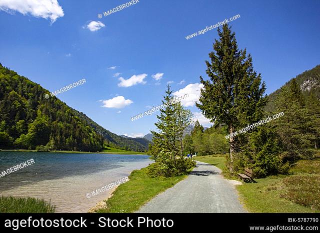 Mountain lake, hiking trail around the lake, Pillersee, Sankt Ulrich am Pillersee, Pillerseetal, Tyrol, Austria, Europe