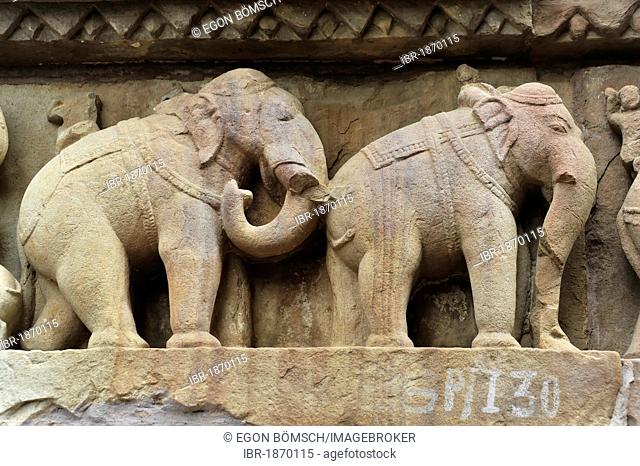 Elephant relief, Khajuraho, UNESCO World Heritage Site, Madhya Pradesh, India, Asia