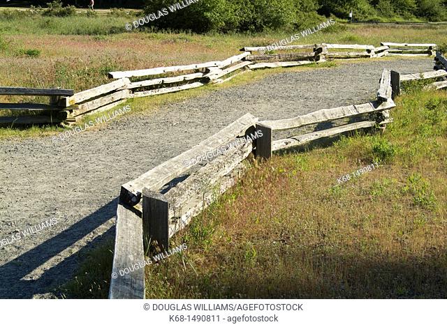 Split rail fence and path