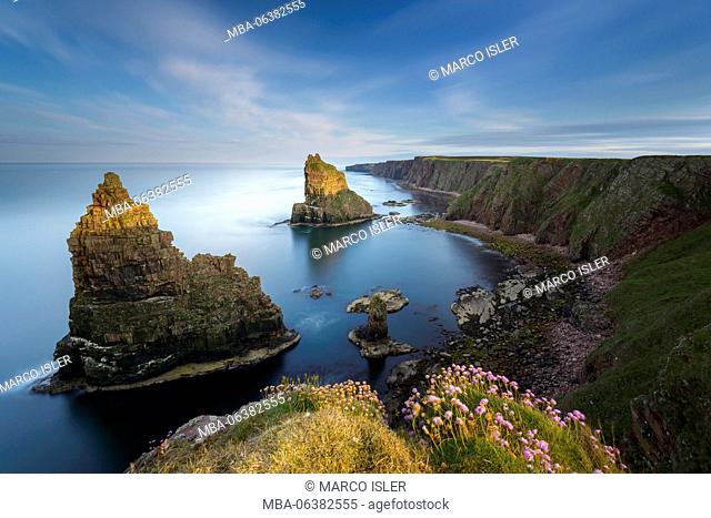Duncansby stacks in the evening light, Duncansby Head, John O'Groats, Scotland, Great Britain
