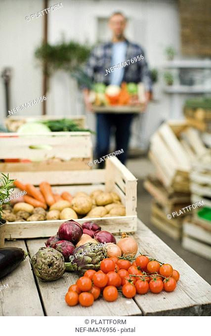Farmer showing vegetables