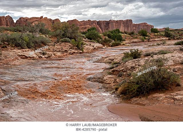 Water flow after heavy storm, The Great Wall behind, Arches National Park, Moab, Utah, USA