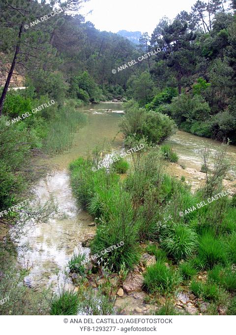 Borosa river source in Sierra de Cazorla Segura y Las Villas Nature reserve, Jaen province, Andalusia, Spain, Europe
