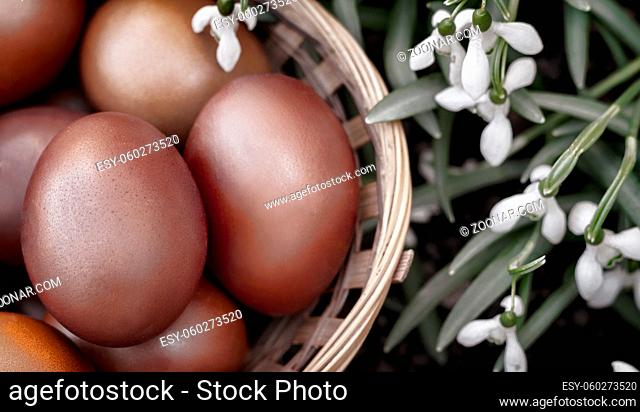 In a wicker basket near flowering snowdrops are red Easter eggs