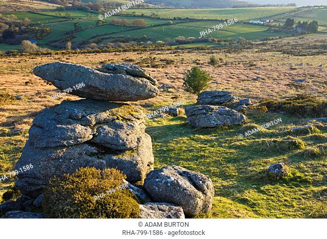 Granite outcrops on Hayne Down in Dartmoor National Park, Devon, England, United Kingdom, Europe