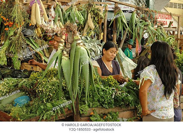 Aloe vera and herbs vendor, Vegetables Market, Colombia, South America