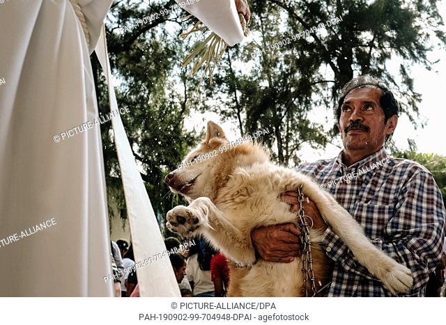 31 August 2019, Mexico, Oaxaca: A man carries his dog to receive the priest's blessing. On 31 August, the day of San Ramon is celebrated in the church of La...