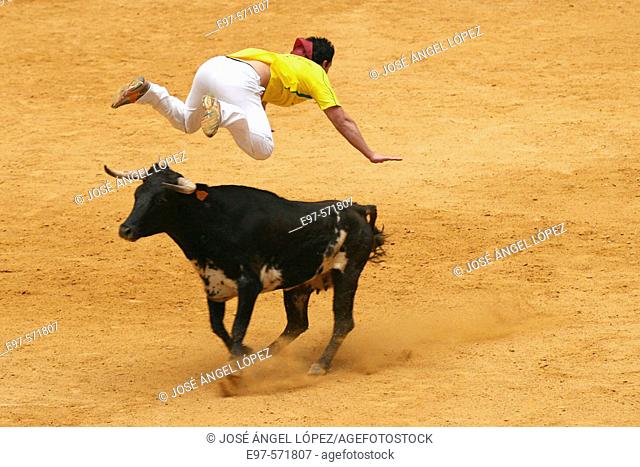 Recortador (bull-leaper), Spain
