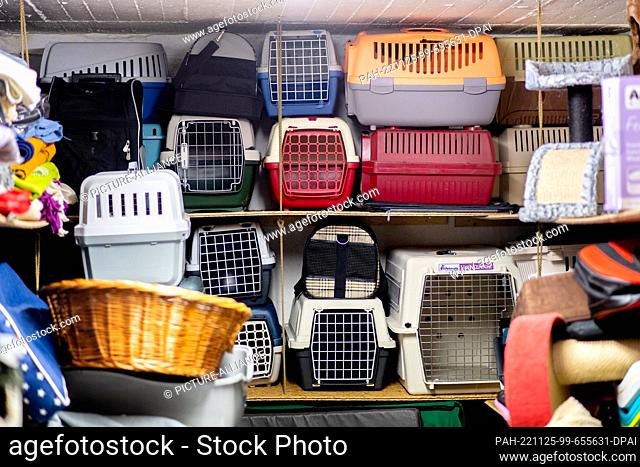 PRODUCTION - 18 November 2022, Bremen: Numerous donations in kind, which are given out by the Tiertafel to needy pet owners