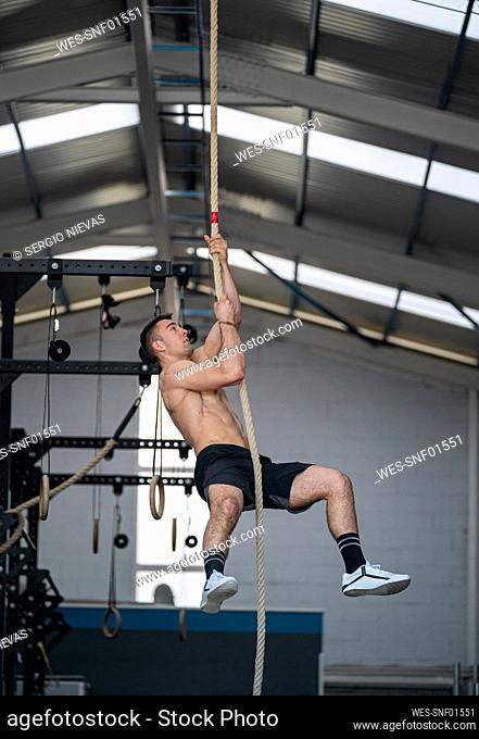 Concentrated male athlete climbing rope in gym