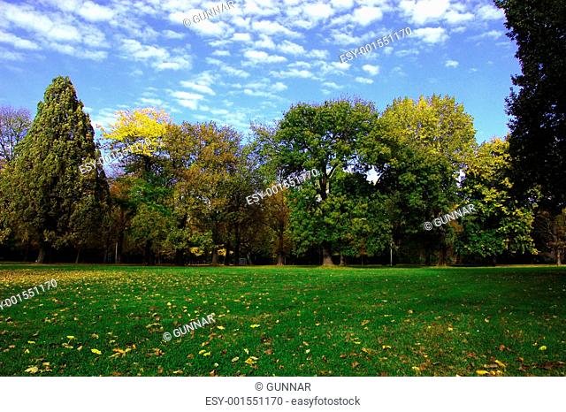 fall in the park with green trees under blue sky