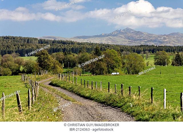 Country road, Parc Naturel Regional des Volcans d'Auvergne, Auvergne Volcanoes Regional Nature Park, Puy de Dome, France, Europe
