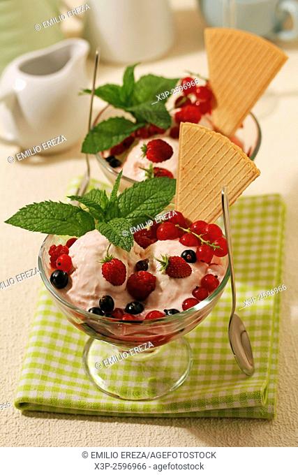 Home made ice cream with wild berries