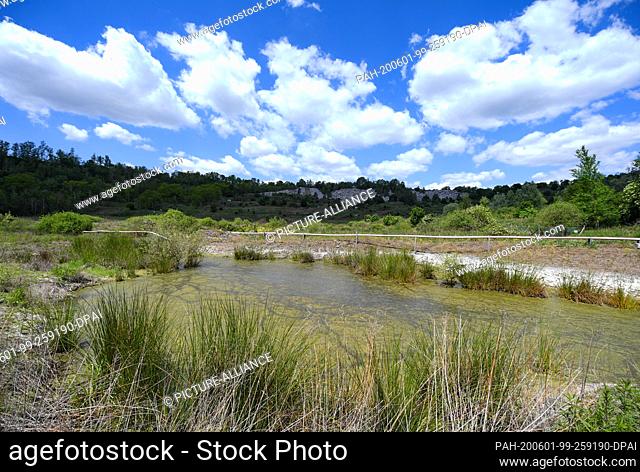 28 May 2020, Hessen, Messel: A small pond can be seen at the bottom of Messel pit near Darmstadt. In 1995, the area became the first World Natural Heritage Site...