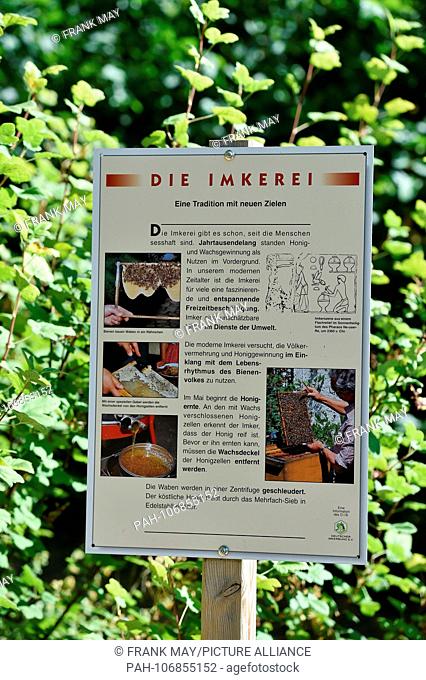 A bee trail where visitors get informations about bees and what they do, Germany, city of Wieda, 25.July 2018. Photo: Frank May | usage worldwide