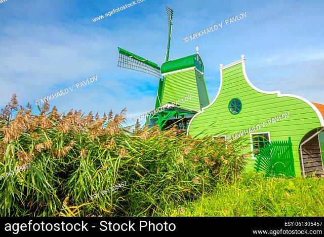 Netherlands. Summer day in Zaanse Schans. Green Dutch windmill and green grass
