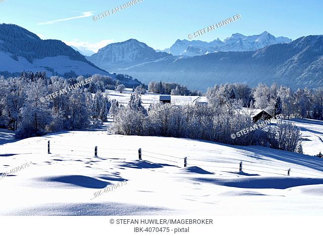 Snow-covered winter landscape, Zugerberg, Canton of Zug, Switzerland