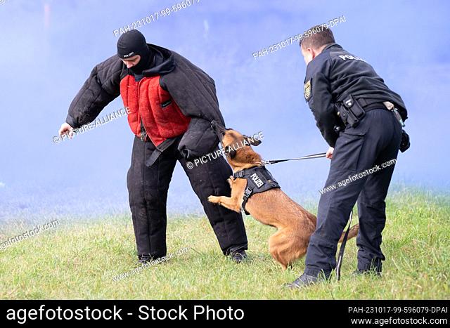 17 October 2023, Saxony, Bad Schandau: During an exercise, a German shepherd attacks a member of the service dog squad of the Dresden Police Department