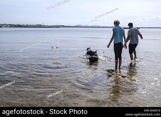 couple playing with dogs, Es Racó de s'Arena beach, Llucmajor, Mallorca, Balearic Islands, Spain
