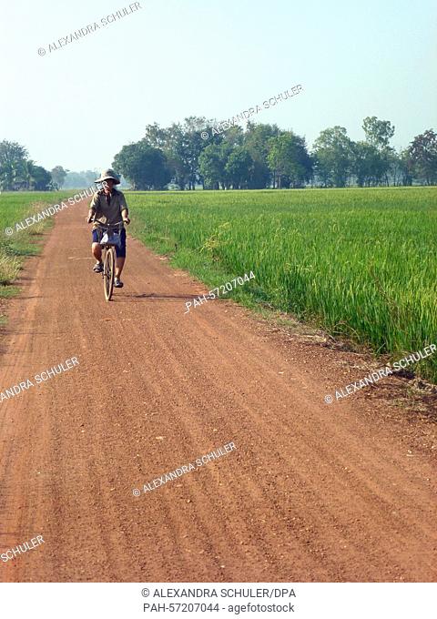 A farmer rides his bicycle on a path across the paddy fields near Sukhothai,  Thailand, photographed on 24 February 2015