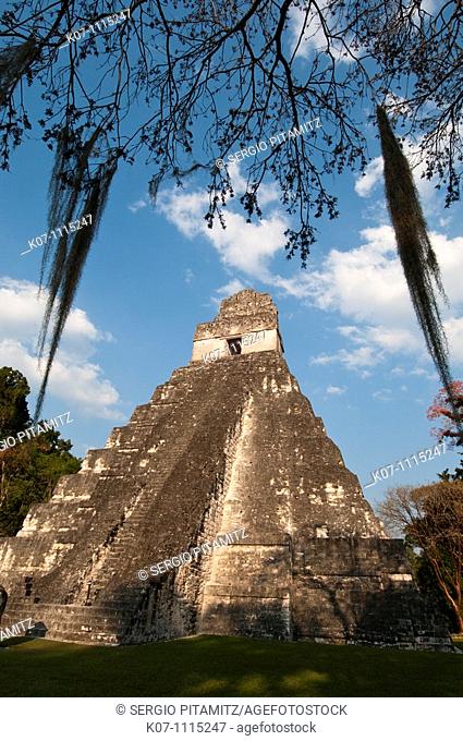 Temple I known also as temple of the Giant Jaguar, Tikal mayan archaeological site, Guatemala
