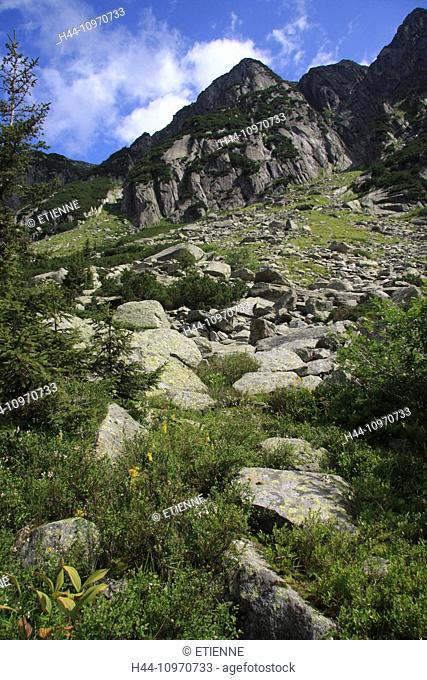 Switzerland, Europe, Bernese Oberland, Grimsel area, Grimsel, mountains, stone