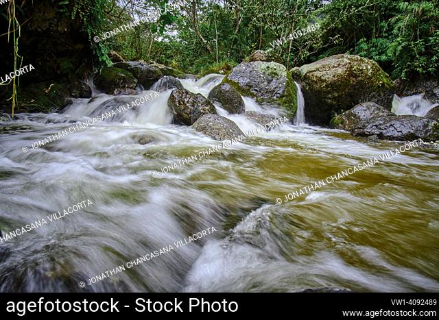 Beautiful scenery of a water course inside the forests of the cloud forest of Peru, crystalline and pure waters that form small waterfalls in such a natural