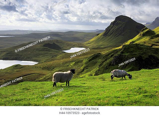 2, Vantage point, vista, cliff, rock, mountains, Great Britain, Highland, highlands, sky, highland, island, isle, Skye, Isle of Skye, scenery, landscape, Loch