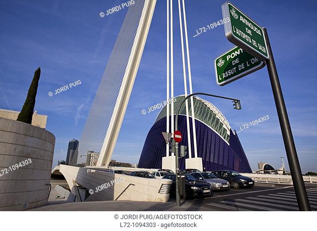 Agora and Assut de l'Or Bridge, City of Arts and Sciences, Valencia, Comunidad Valenciana, Spain
