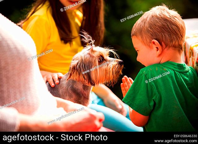 The cute little kids have fun with their favorite yorkshire terrier dog