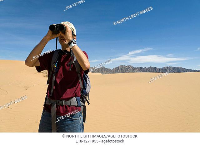Mexico, Sonora, Rocky Point, Puerto Penasco. Pinacate Biosphere Reserve.  Biologist looks into the distance with binoculars in the midst of the Dune Sea