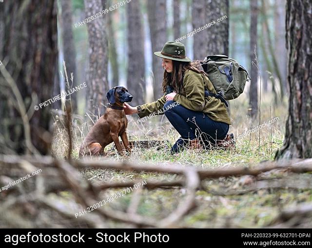 17 March 2022, Brandenburg, Eisenhüttenstadt: Laura Habermann, a hunter, is out and about with her eight-month-old Bavarian mountain hound ""Gavin"" in the...